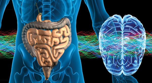 gut-brain microbiome health
