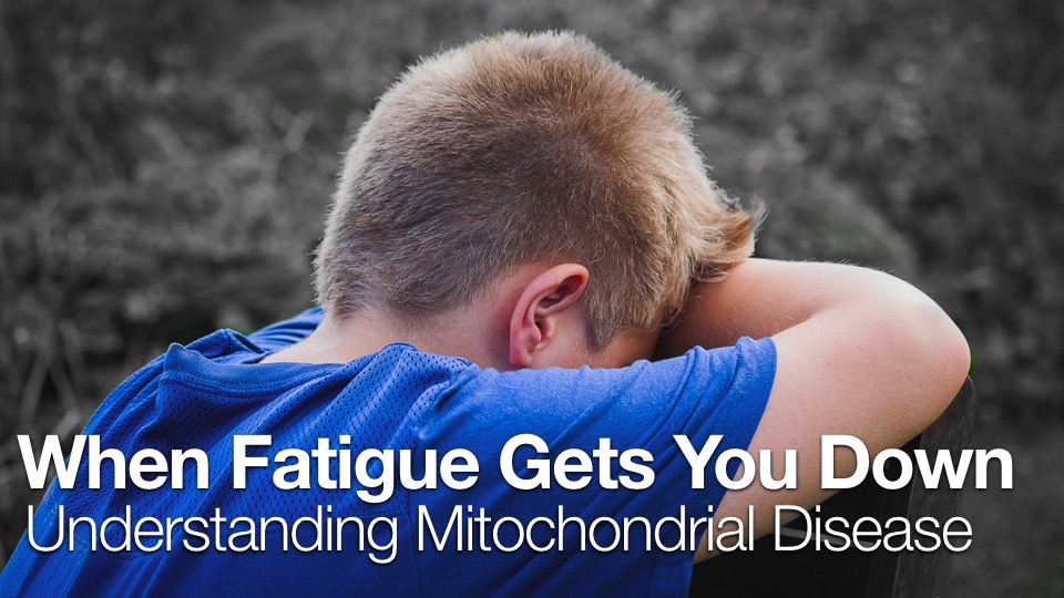 Fatigue Mitochondria Disease