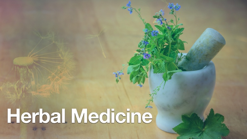 Naturopathy - Herbal Medicine